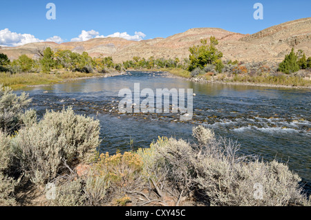 Wind River near Dubois, Federal Road 26, Wyoming, USA Stock Photo