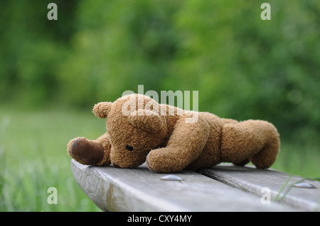 Forgotten teddy bear on a wooden bench Stock Photo