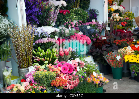 Flower Stand outside Clapham Junction - London UK Stock Photo - Alamy