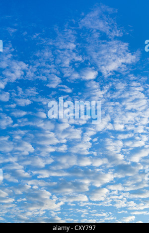 many white cumulus clouds in blue morning sky Stock Photo