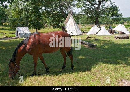 Oklahoma, Bartlesville, Woolaroc Museum & Wildlife Preserve, Mountain Man Camp. Stock Photo