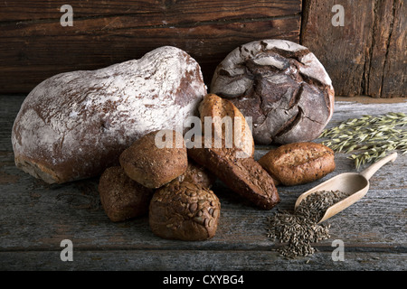 Bread loaves, rolls with rye grain and ears of corn on a rustic wooden surface Stock Photo