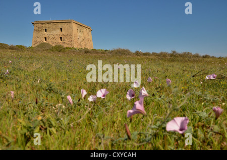 Torre de San José, former prison on the island of Tabarca, Isla de Tabarca, Alicante region, Costa Blanca, Spain, Europe Stock Photo