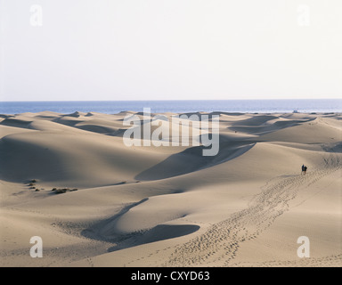 Canary Islands. Gran Canaria. Maspalomas. Sand dunes. Stock Photo