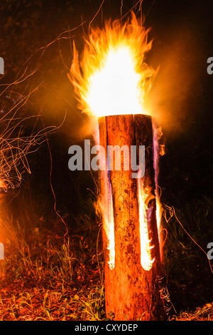 A closeup shot of pieces of wood burning inside old metal oven