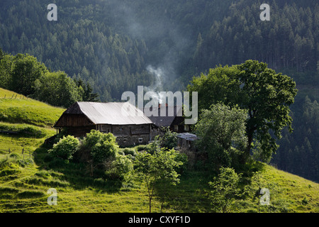 Old mountain farmhouse near Trieben, Niedere Tauern or Low Tauern range, Upper Styria, Styria, Austria, Europe Stock Photo