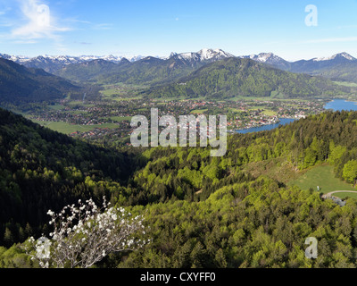 Rottach-Egern and lake Tegernsee, Tegernsee valley, view as seen from Riederstein mountain, Mangfall Mountains, Upper Bavaria Stock Photo