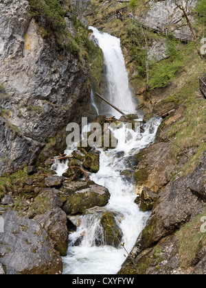Wasserlochklamm gorge near Palfau, Upper Styria, Styria, Austria, Europe Stock Photo