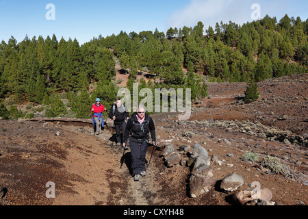 Hikers on the Volcano Route, Ruta de los Volcanoes, La Palma, Canary Islands, Spain, Europe Stock Photo