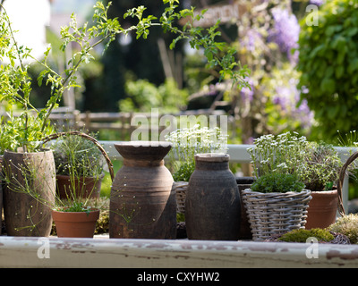 Still life, old ceramic vases and flower pots made of wicker in a romantic garden Stock Photo