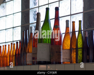 Empty, dusty wine bottles in a wine cellar at the window of a wine store room, lined up, Hattenheim, Rheingau region, Hesse Stock Photo