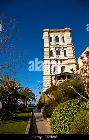 Oceanographic Museum, Musee Oceanographique, in Le Rocher, Monaco, Europe Stock Photo