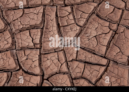 Cracked dry soil of a riverbed, Argentinian Andes, Uspallata, Mendoza province, Argentina, South America, America Stock Photo