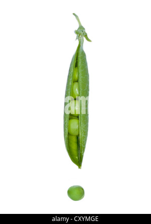 Fresh green peapod, pea (Pisum sativum) Stock Photo