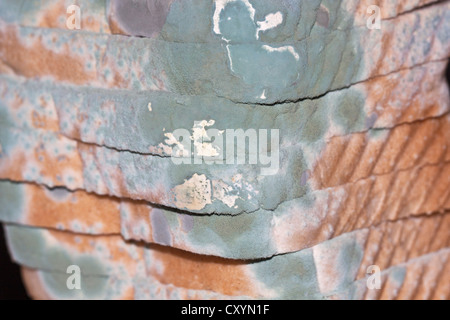 Mould, mildew, mould damage, mould cultures on toast Stock Photo