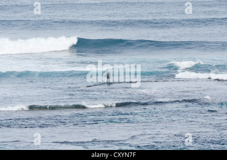 A lone surfer walks out along the reef waiting for a break in the surf at Surfers Point, Prevelly, Margaret River, Australia Stock Photo