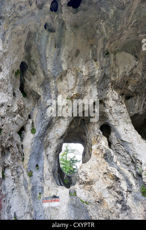 Luckerte Wand mountain, Adlitzgraben, Lower Austria, Austria, Europe Stock Photo