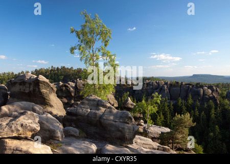 View from Carola Rocks near the Affensteine Rocks in the Elbe Sandstone Mountains, Saxony Stock Photo