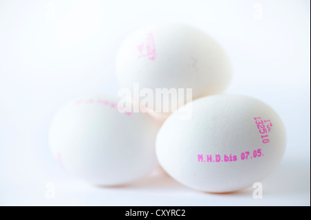 4 white chicken eggs with printed use-by date Stock Photo