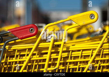 Parked yellow shopping carts or trolleys Stock Photo