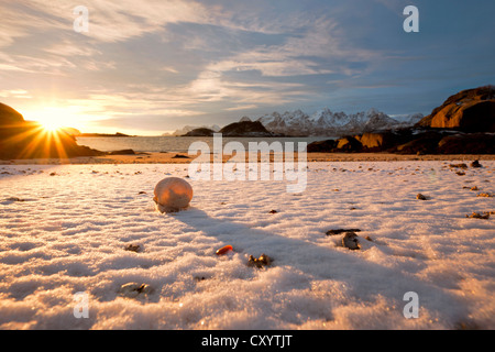 Shell on a snow-covered sandy beach in the evening light, near Digermulen, Lofoten Islands, Norway, Europe, PublicGround Stock Photo