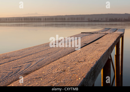 Jetty with hoarfrost in the morning light, dawn, on Lake Constance near Hegne, Baden-Wuerttemberg Stock Photo