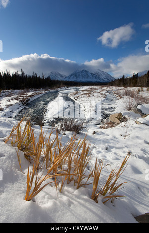 First snow at Quill Creek, St. Elias Mountains, Kluane Range behind, Kluane National Park and Reserve, Yukon Territory, Canada Stock Photo