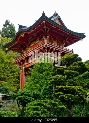 Japanese Tee Garden in Golden Gate Park San Francisco California, multiple level red roof pagoda tower building tee house Stock Photo