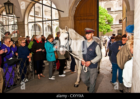 Vienna. Austria, Tourists take photos of the famous Lipizzaner horses of the Spanische Reitschule (Spanish riding school) Stock Photo