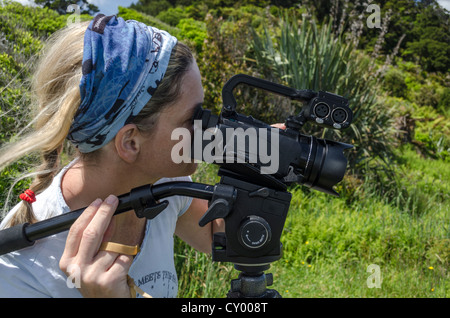 Young woman looking through the viewfinder of a HD-video camera on a tripod, New Zealand, Oceania Stock Photo