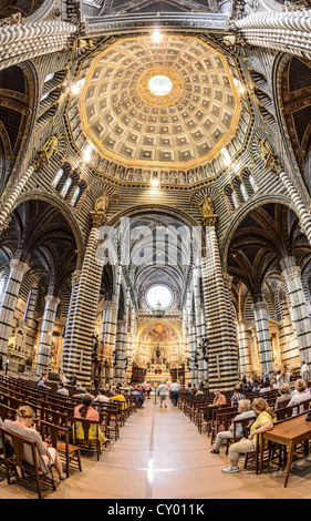 Interior view, Cathedral of Siena, Cattedrale di Santa Maria Assunta, main church of the city of Siena, Tuscany, Italy, Europe