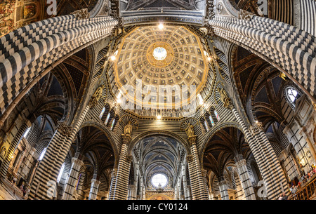Interior view, dome of the Cathedral of Siena, Cattedrale di Santa Maria Assunta, main church of the city of Siena, Tuscany