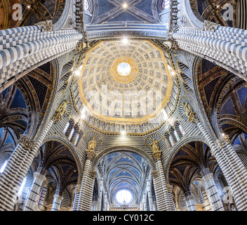 Interior view, dome of the Cathedral of Siena, Cattedrale di Santa Maria Assunta, main church of the city of Siena, Tuscany