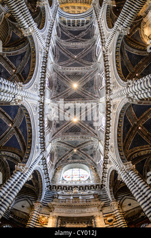 Interior view, ceiling of the Cathedral of Siena, Cattedrale di Santa Maria Assunta, main church of the city of Siena, Tuscany