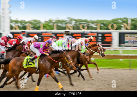 Jockey's and thoroughbreds vying for the lead at Arlington Park Racetrack near Chicago. Stock Photo