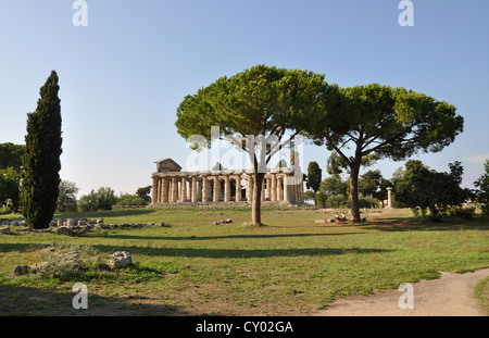 Temple of Athena, Paestum, Italy Stock Photo