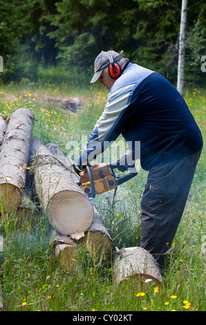 Elderly man cutting a spruce log with a chainsaw , Finland