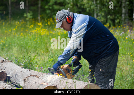 Pensioner cutting a spruce log with chainsaw , Finland