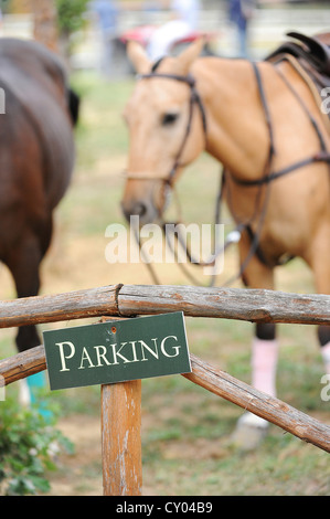 Parking sign, horses at back Stock Photo