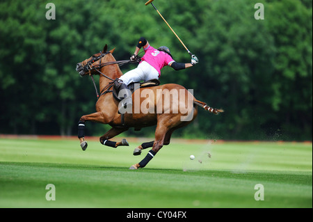 A polo player is hitting the ball Stock Photo