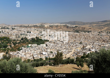 View across the Old Town of Fes or Fez, Fès-Boulemane, Morocco, Maghreb, North Africa, Africa Stock Photo