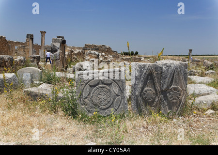 Remains at the Roman archaeological site of Volubilis, UNESCO World Heritage Site, Meknes, Meknès-Tafilalet, Morocco, Maghreb Stock Photo