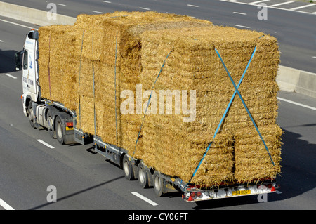 Back and side view of articulated low loader trailer & hgv lorry truck carrying large bales of straw driving along M25 Motorway Essex England UK Stock Photo