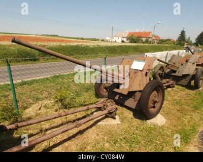 Small cannon at Swidnica Stock Photo