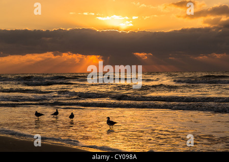 Sunrise at the beach on Hilton Head Island, SC Stock Photo