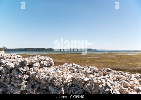 piled mesh bags of used oyster shells ready for recycling to Willipa Bay oyster beds visible in distance Washington State Stock Photo