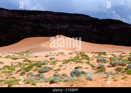 Sand dunes at Utah's Coral Pink Sand Dunes State Park near Kanab. Stock Photo