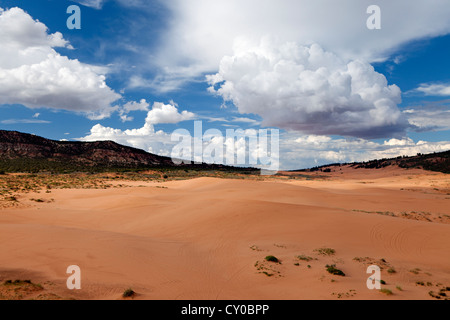 Sand dunes at Utah's Coral Pink Sand Dunes State Park near Kanab. Stock Photo