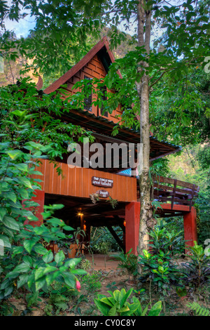 The main LODGE at OUR JUNGLE HOUSE nestled in the rainforest near KHAO SOK NATIONAL PARK - SURATHANI PROVENCE, THAILAND Stock Photo