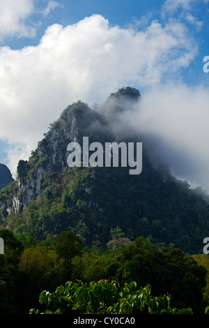 Rainforest mist lingers in the KARST FORMATION of KHAO SOK NATIONAL PARK - SURAI THANI PROVENCE, THAILAND Stock Photo
